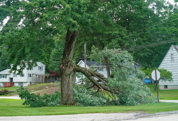 Best Leaf Removal  in Grove City, OH